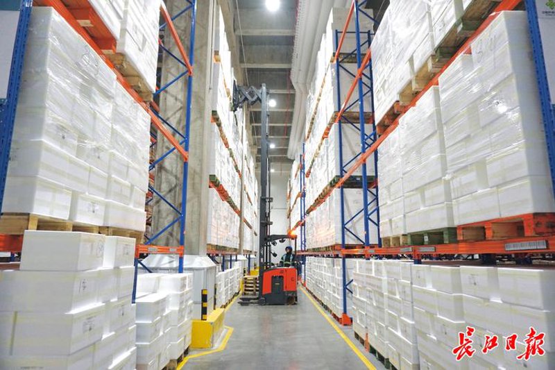 食品供应链:新时代的粮食之路