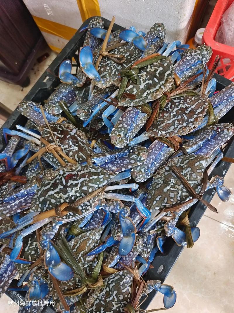 广州生鲜配送:新鲜直达舌尖