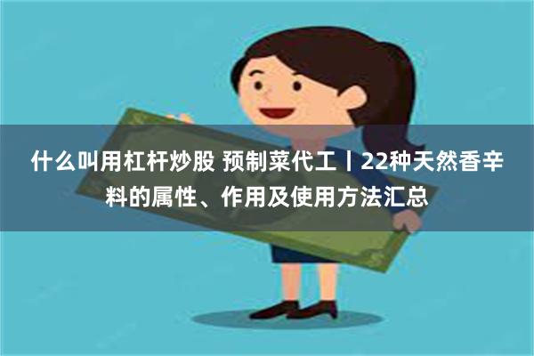 什么叫用杠杆炒股 预制菜代工丨22种天然香辛料的属性、作用及使用方法汇总