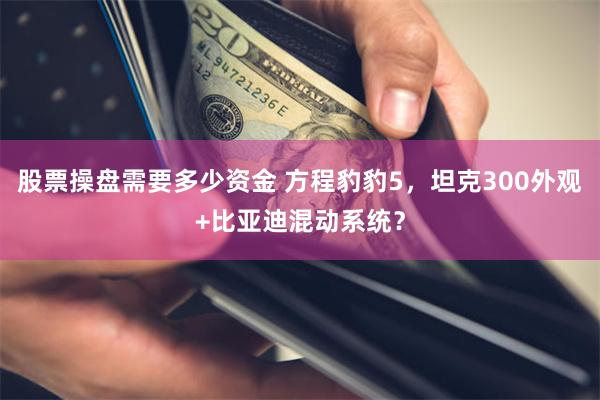 股票操盘需要多少资金 方程豹豹5，坦克300外观+比亚迪混动系统？