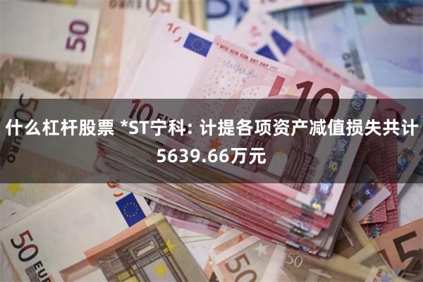 什么杠杆股票 *ST宁科: 计提各项资产减值损失共计5639.66万元