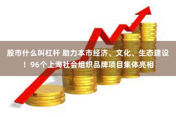 股市什么叫杠杆 助力本市经济、文化、生态建设！96个上海社会组织品牌项目集体亮相