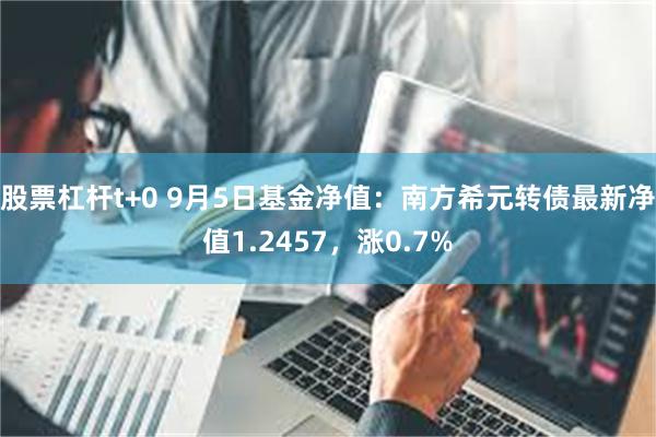 股票杠杆t+0 9月5日基金净值：南方希元转债最新净值1.2457，涨0.7%