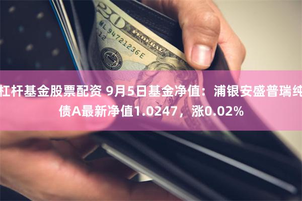 杠杆基金股票配资 9月5日基金净值：浦银安盛普瑞纯债A最新净值1.0247，涨0.02%