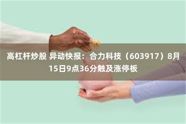 高杠杆炒股 异动快报：合力科技（603917）8月15日9点36分触及涨停板