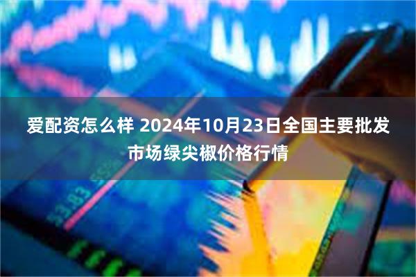 爱配资怎么样 2024年10月23日全国主要批发市场绿尖椒价格行情