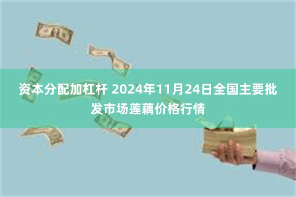 资本分配加杠杆 2024年11月24日全国主要批发市场莲藕价格行情