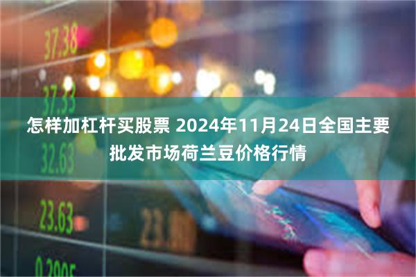 怎样加杠杆买股票 2024年11月24日全国主要批发市场荷兰豆价格行情