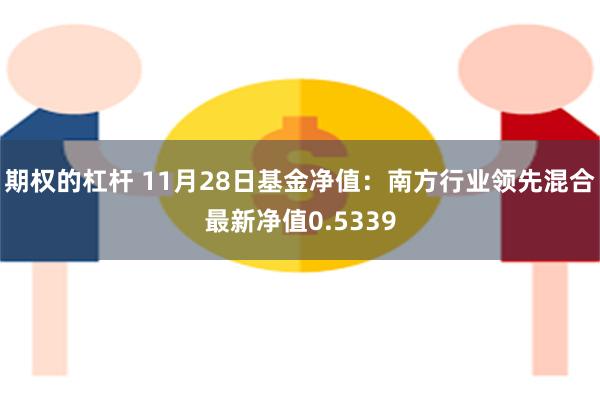 期权的杠杆 11月28日基金净值：南方行业领先混合最新净值0.5339