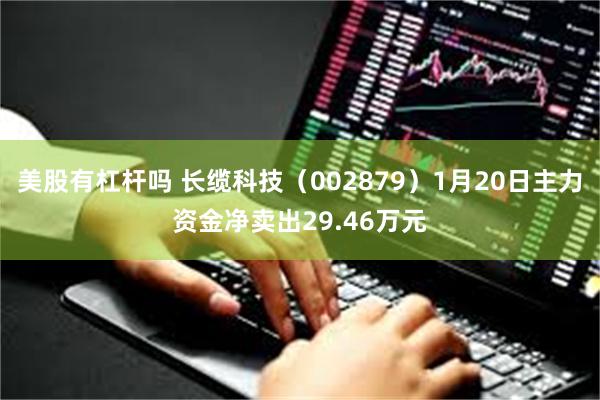 美股有杠杆吗 长缆科技（002879）1月20日主力资金净卖出29.46万元