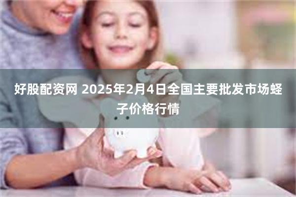 好股配资网 2025年2月4日全国主要批发市场蛏子价格行情