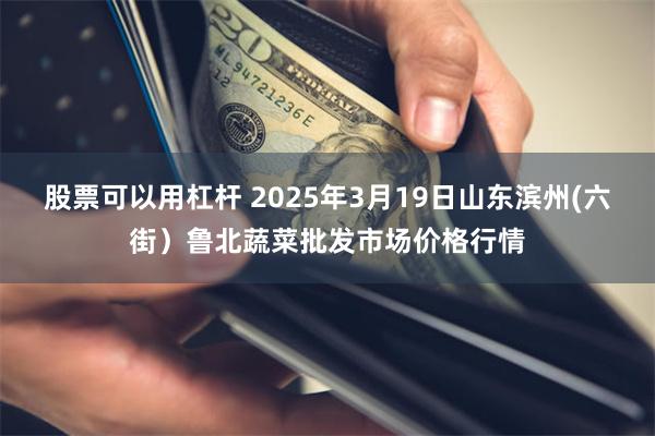 股票可以用杠杆 2025年3月19日山东滨州(六街）鲁北蔬菜批发市场价格行情